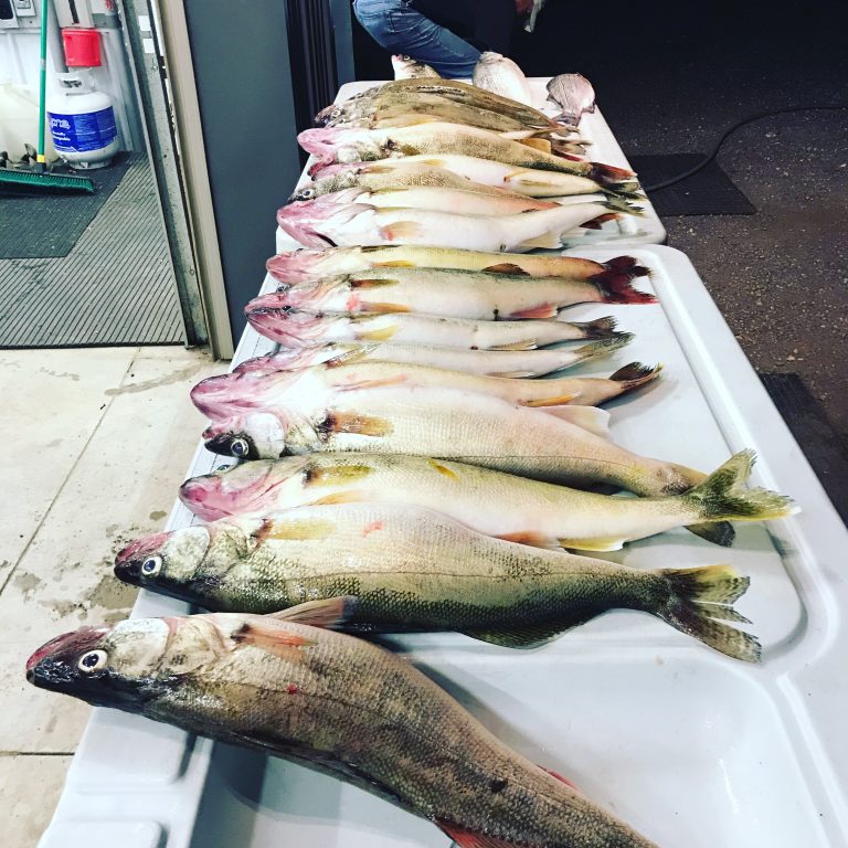 27F4819D-9F9F-4897-8A45-A60B41E7DFF5