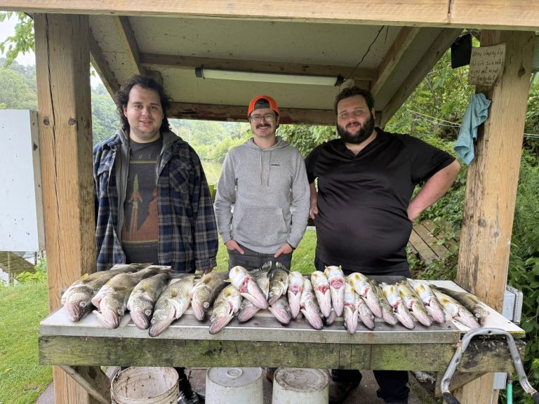 535851602_122142754502796744_6699858955824424519_n